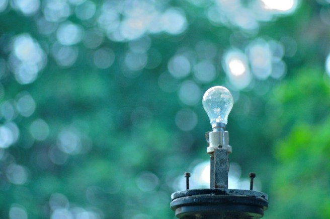 8715479598_d02d212aae_b