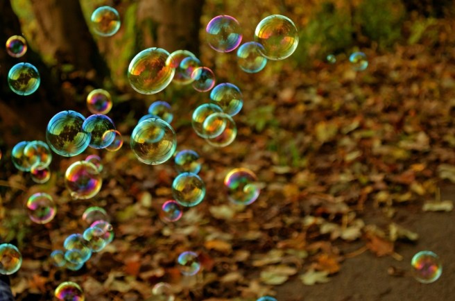soap-bubbles-and-leaves-on-ground