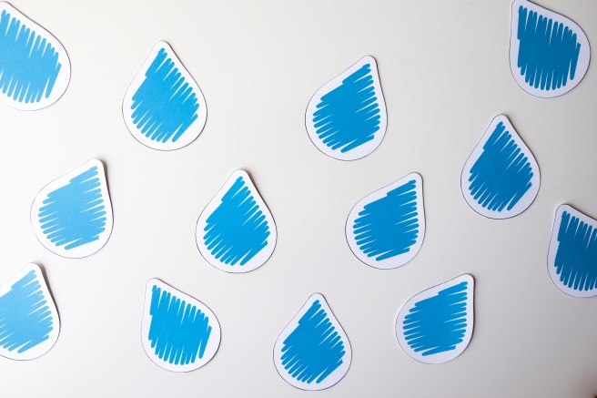 20190218-151730-7356